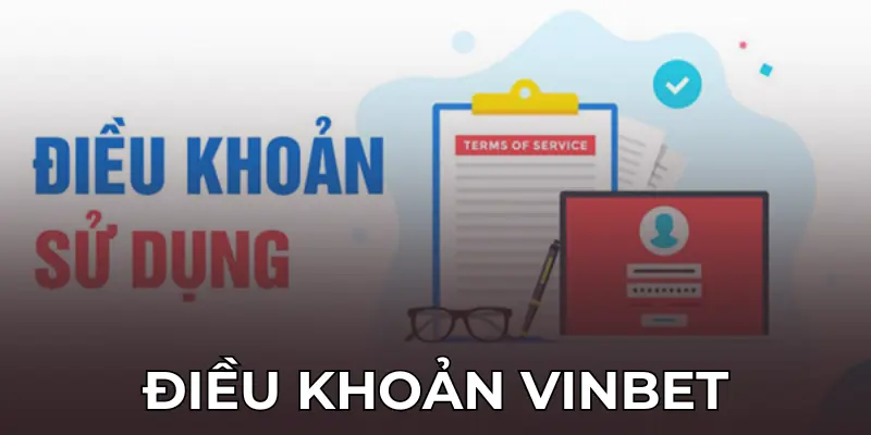 Sự ra đời của chính sách và điều khoản tại Vinbet